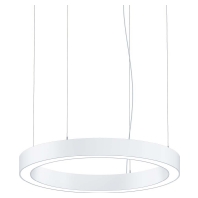 LED-Rundleuchte 940, ws SLOIN R DI 42187649