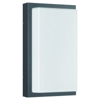 Automatikleuchte LB22 Edelstahl IP44 graphit m.Sensor, 058SEN - Aktionsartikel