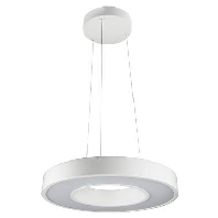 LED-Pendelleuchte Circulus wei-matt 17W 3000K, 212006 - Aktionsartikel