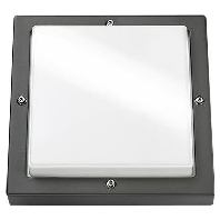 LED-Wandleuchte Bassi 10W graphit/opal D�mmerungssch., 623188 - Aktionsartikel