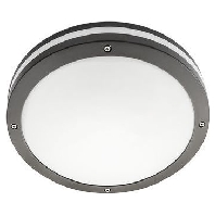 LED-Wandleuchte Evje 19W 4000K graphit mit Sensor HF, 643823 - Aktionsartikel