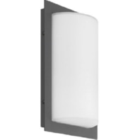 LED-Wandleuchte LB23 Edelstahl graphit 12W 1200lm 3000K