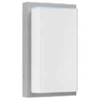 Wand-/Deckenleuchte LB23 Alu Opalglas E27 hellgrau