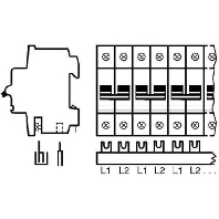 Phase busbar 2-p 10mm 213mm SZ-PSB 53 N