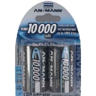 Rechargeable battery Mono 10000mAh 1,2V 5030642 VE2 Bli