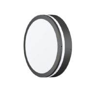 Ceiling-/wall luminaire 9084