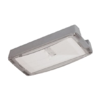 Emergency luminaire Outdoor Wall O CG-S