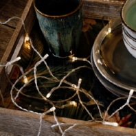 Festive lighting 524253