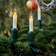 Festive lighting 845594