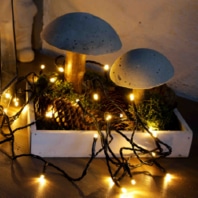 Festive lighting 579468