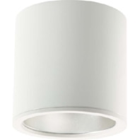 Downlight/spot/floodlight 1x20W ADLR 195/ 0332026