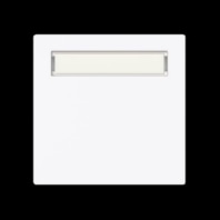 Cover plate for switch/push button 1764 N-44G
