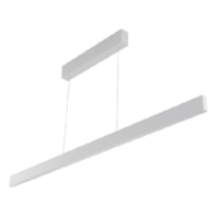 LED pendant light MC LTS100125