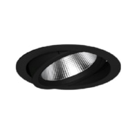 Downlight/spot/floodlight CSA-R 602.940.FL sw
