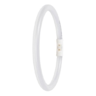 LED-Ringtube T5FC, 2GX13 fr ext.Treiber, 840, LEDT5FC22EXT11.6W840