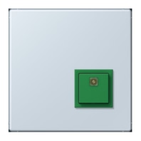 Switching device for handicapped people NRS LC 0834 AT209