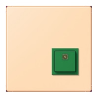 Switching device for handicapped people NRS LC 0834 AT223