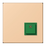Switching device for handicapped people NRS LC 0834 AT237