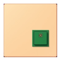 Switching device for handicapped people NRS LC 0834 AT258