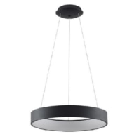 Pendant luminaire 1x38W 57429183