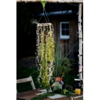Festive lighting 578669