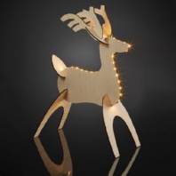 Festive lighting 577129