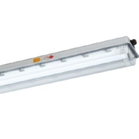Explosion proof luminaire fixed mounting e840 12L60