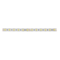 Light ribbon-/hose/-strip 24V white 15223027