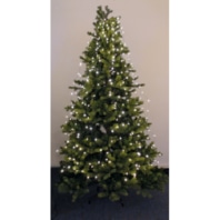 Festive lighting 577815