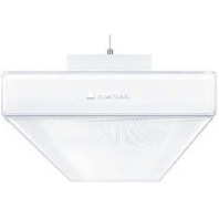LED surface-mounted/pendant light 4000K, ECOOS2 SLIM42186829