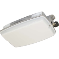 Ex-proof emergency/security luminaire 1h nD8611 L02/1 W