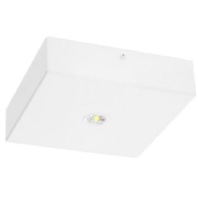 LED-Sicherheitsleuchte EB 8h BQD819M.V2