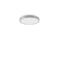 LED-Wand-und Deckenleuchte 4000K silber DALI 312424.004.1.76