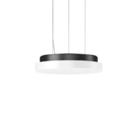 Pendant luminaire 1x11...22W 312647.0031.76