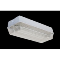 Sicherheitsleuchte Sixtysix M CBS-T PRO