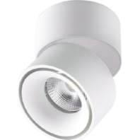 Downlight/spot/floodlight AS20090125