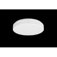 Ceiling-/wall luminaire LED exchangeable RUFO2360NDWS830Z0250