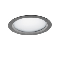 Downlight/spot/floodlight 1x31W VTFL-R102.840/DALISI