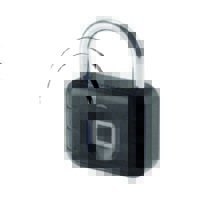 Padlock 170255
