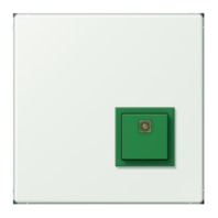 Switching device for handicapped people NRS LC 0834 AT210