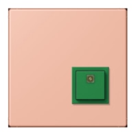 Switching device for handicapped people NRS LC 0834 AT231