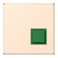 Switching device for handicapped people NRS LC 0834 AT238