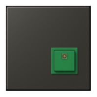 Switching device for handicapped people NRS LC 0834 AT259