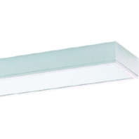 Anbauleuchte mit RIDI-Tube IHLS-L 180/ 0650594
