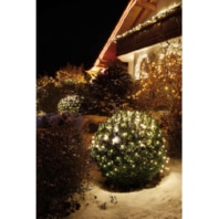 Festive lighting 577853