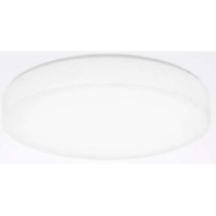 Ceiling-/wall luminaire LED exchangeable Olisq RWD2 8203451
