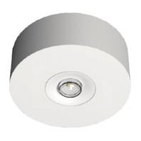 LED-Sicherheitsleuchte Decke, Linsen, rund EARL423WL