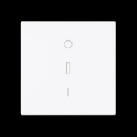 Cover plate for switch/push button 1788-44G