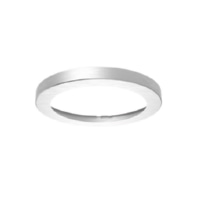 Dekorring edelstahl DR-SARA220 ES