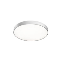 Ceiling-/wall luminaire 51MR36GD0321S